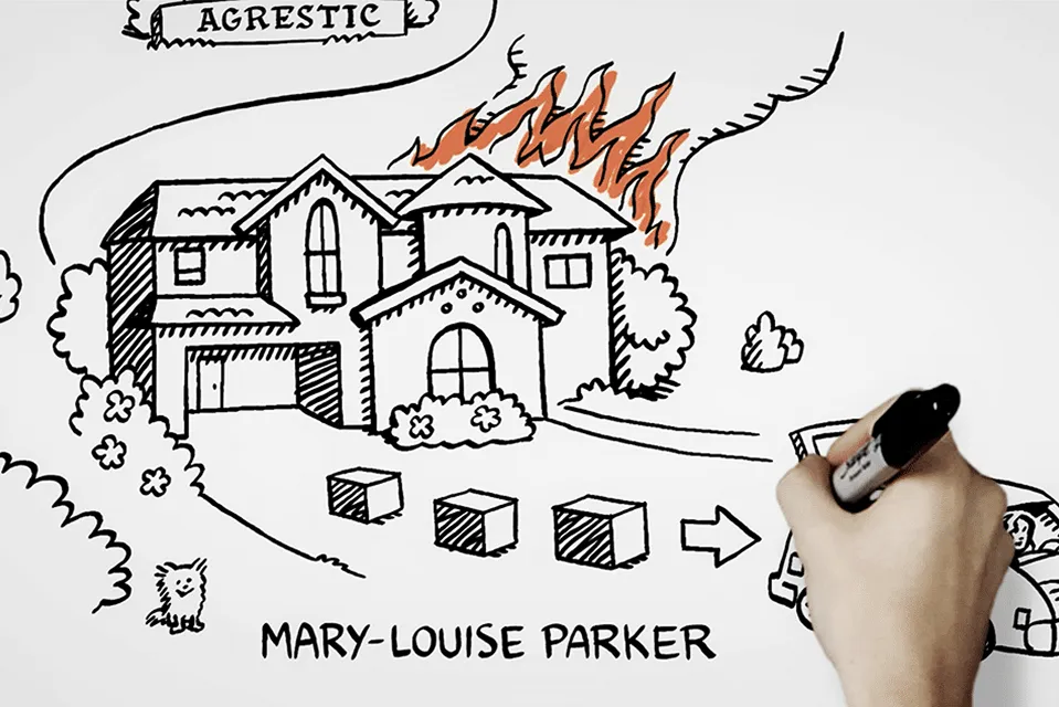 Whiteboard Animation Image